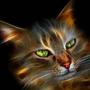 Meet your Posher, Shawna